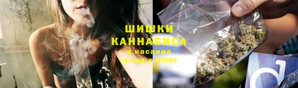 крисы Баксан
