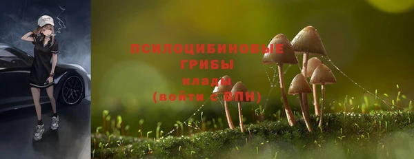 дживик Балабаново