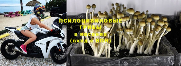 соль ск Балахна