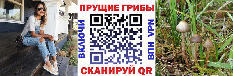 Галлюциногенные грибы MAGIC MUSHROOMS MEGA рабочий сайт Солнечногорск
